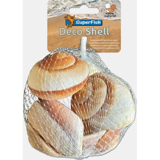 Sf deco sheel spirale rayée 200 Gr