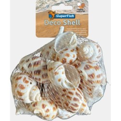 Sf deco snail brun-blanc 200 Gr