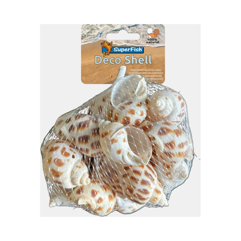 Sf deco snail brun-blanc 200 Gr