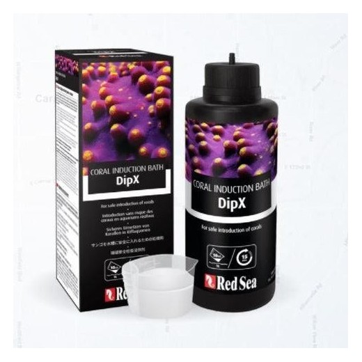 RS DipX 100 Ml