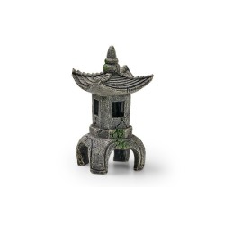 Eden Temple asiatique T
