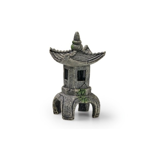 Eden Temple asiatique T