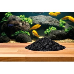Oase Carbon Performance 1 L