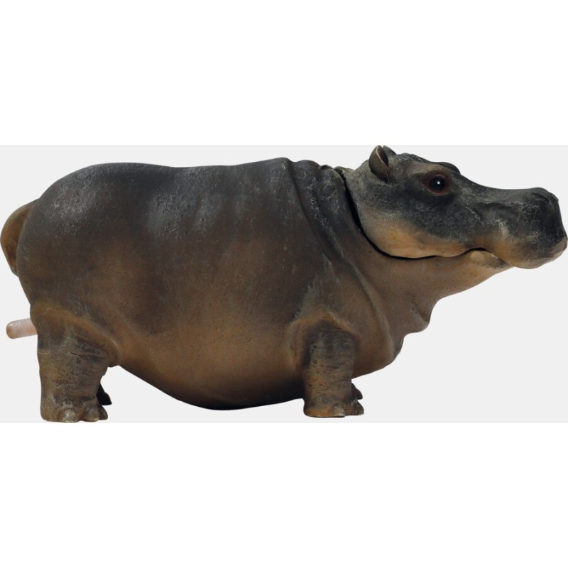 Sf déco hippo air s