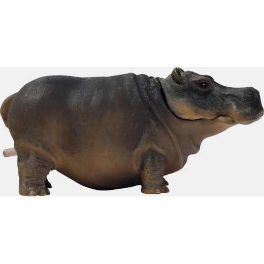 Sf déco hippo air s