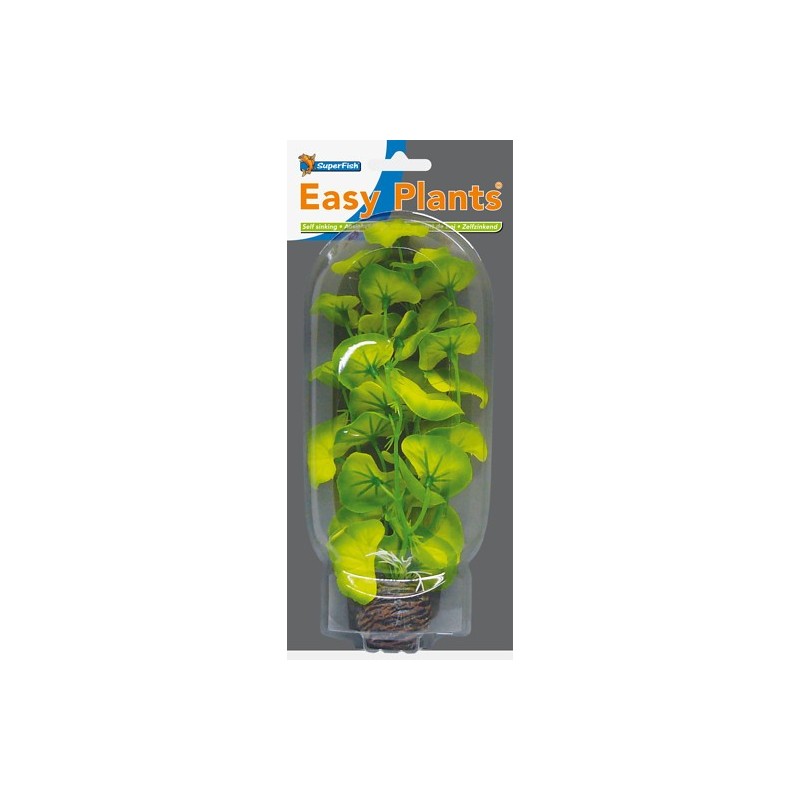 Sf easy plants moyenne 20 Cm n 10 soie