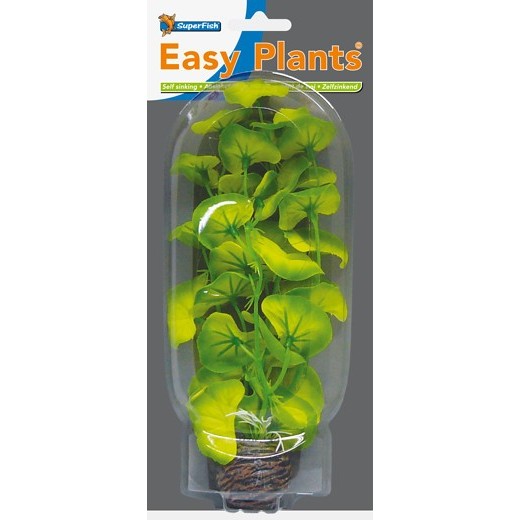 Sf easy plants moyenne 20 Cm n 10 soie