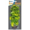 Sf easy plants moyenne 20 Cm n 10 soie