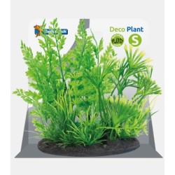 Sf déco plant S 1