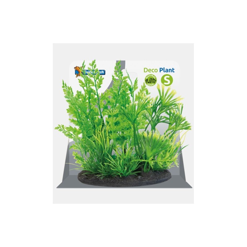 Sf déco plant S 1
