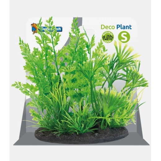 Sf déco plant S 1