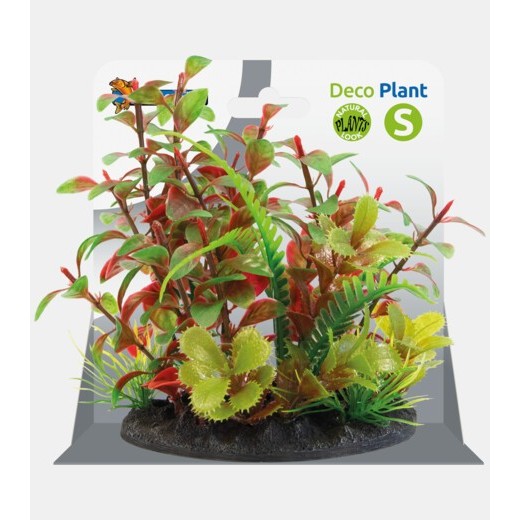 Sf déco plant S 2