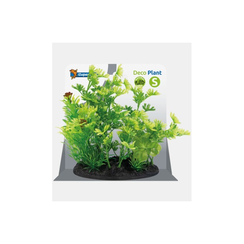 Sf déco plant S 3