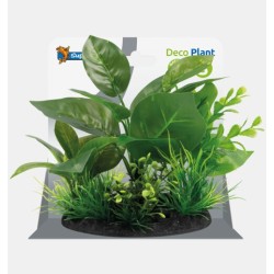 Sf déco plant S 5
