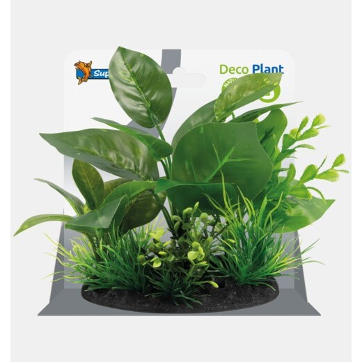 Sf déco plant S 5