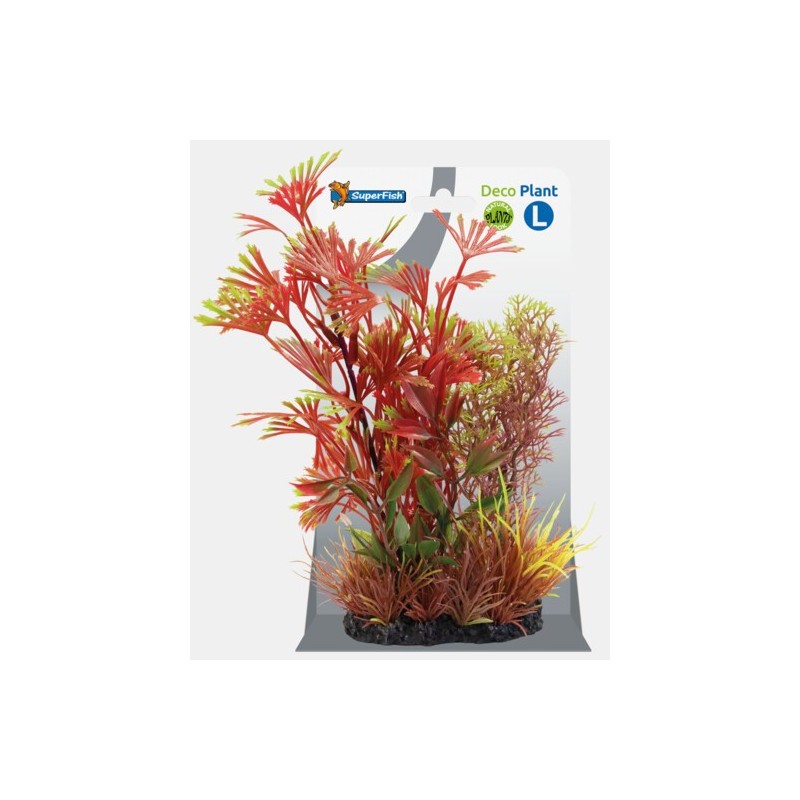Sf déco plant L 1