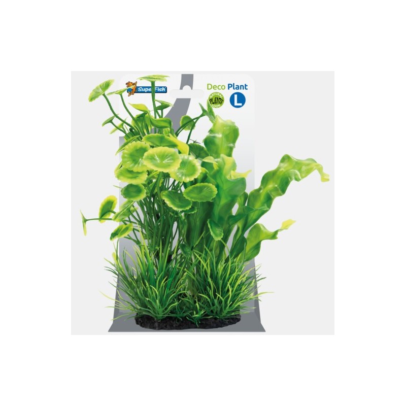 Sf déco plant L 2