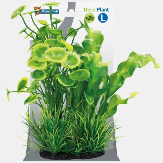 Sf déco plant L 2