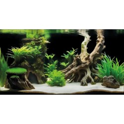 Sf déco poster g2 60 x 49 Cm