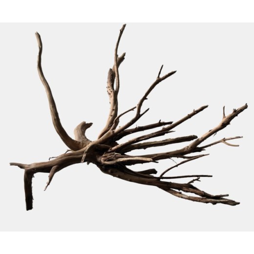 Sf racine black spiderwood medium