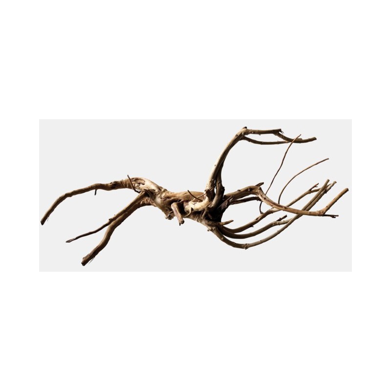 Sf racine black spiderwood large