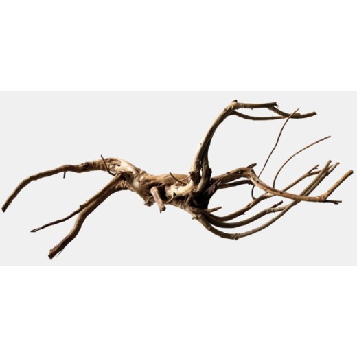 Sf racine black spiderwood large