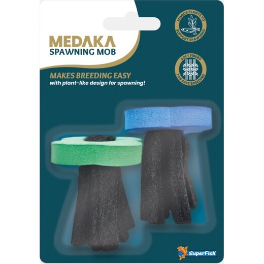 Medaka spawning mob