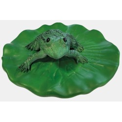 Sf deco grenouille flottante