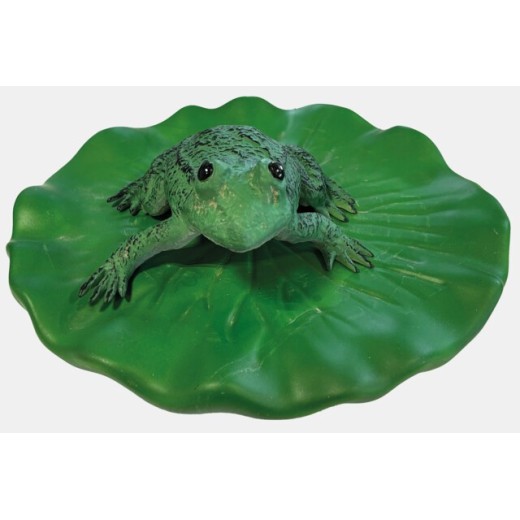 Sf deco grenouille flottante